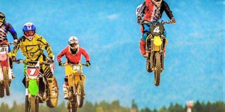 coin race: top winners/losers of november; exchange tokens up, bitcoin, meme coins down