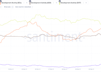 solana on chain development increases after a recent ddos attack