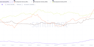 solana on chain development increases after a recent ddos attack