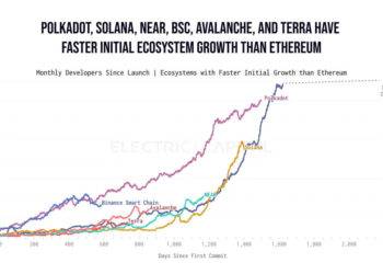 ethereum dominates among developers but competitors growing faster