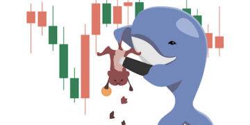 3 valuable insights into the mindset of nft whales