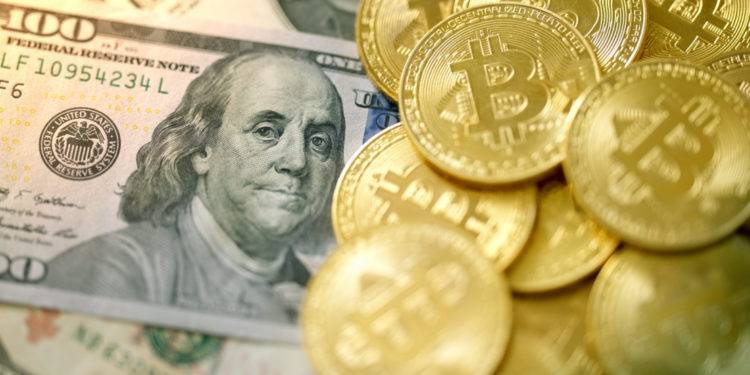 dollars or crypto? your choice