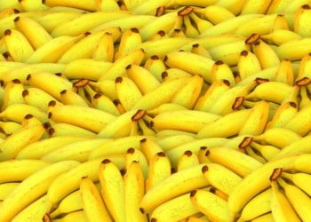 $ape going bananas as rumors of upcoming land sale of bayc metaverse gather momentum
