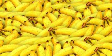 $ape going bananas as rumors of upcoming land sale of bayc metaverse gather momentum