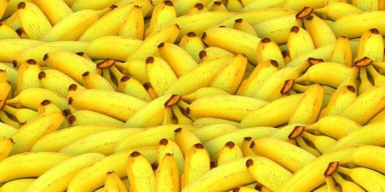 $ape going bananas as rumors of upcoming land sale of bayc metaverse gather momentum