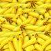 $ape going bananas as rumors of upcoming land sale of bayc metaverse gather momentum