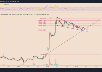 elon musk's twitter investment puts a 150% rally into play for dogecoin