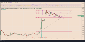 elon musk's twitter investment puts a 150% rally into play for dogecoin
