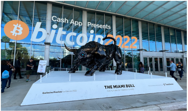 The Miami Bull | Source: Ornella Hernandez
