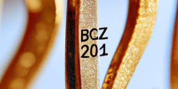 Bitcoin 2022 — Will the real maximalists please stand up?
