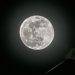 The Moon ‘created’ his lavish reality… and says you can, too