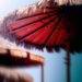 fUSD stablecoin launch and rumors of Cronje’s return send Fantom (FTM) price higher