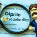 Ripple counsel slams SEC for trying to bulldoze and bankrupt crypto